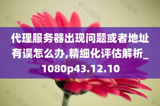 代理服务器出现问题或者地址有误怎么办,精细化评估解析_1080p43.12.10