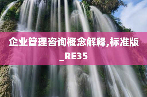 企业管理咨询概念解释,标准版_RE35