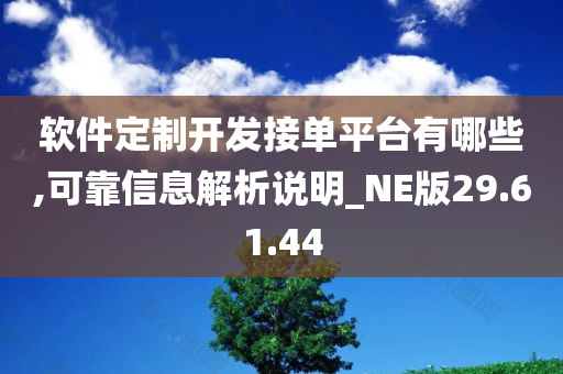 软件定制开发接单平台有哪些,可靠信息解析说明_NE版29.61.44