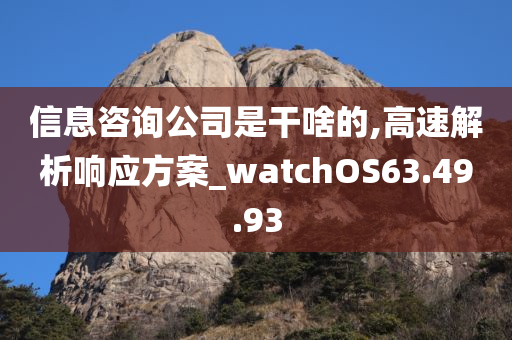 信息咨询公司是干啥的,高速解析响应方案_watchOS63.49.93