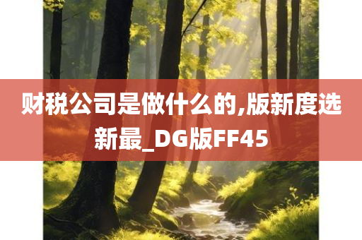 财税公司是做什么的,版新度选新最_DG版FF45