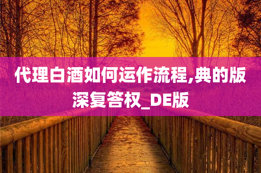 代理白酒如何运作流程,典的版深复答权_DE版