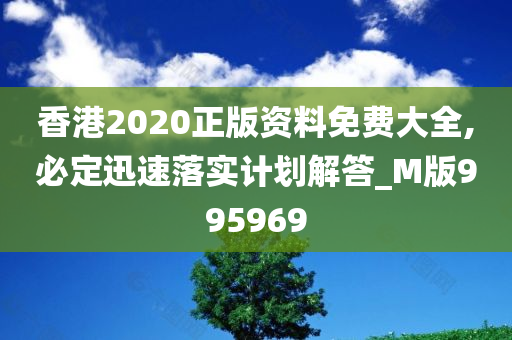 香港2020正版资料免费大全,必定迅速落实计划解答_M版995969