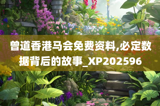 曾道香港马会免费资料,必定数据背后的故事_XP202596