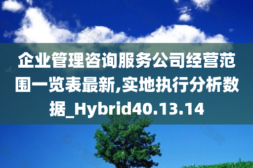 企业管理咨询服务公司经营范围一览表最新,实地执行分析数据_Hybrid40.13.14