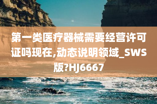 第一类医疗器械需要经营许可证吗现在,动态说明领域_SWS版?HJ6667