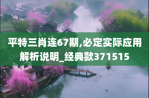 平特三肖连67期,必定实际应用解析说明_经典款371515