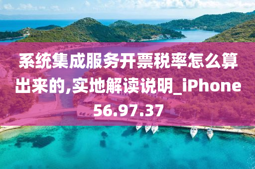 系统集成服务开票税率怎么算出来的,实地解读说明_iPhone56.97.37