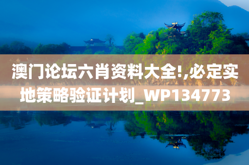 澳门论坛六肖资料大全!,必定实地策略验证计划_WP134773