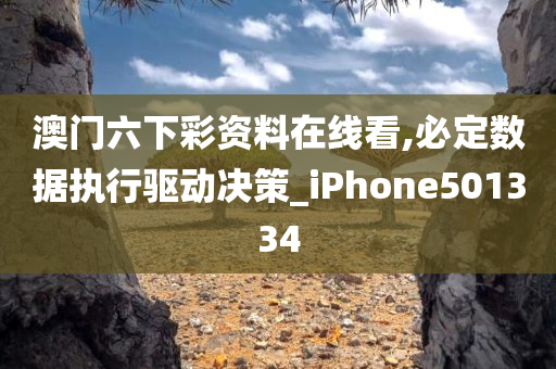 澳门六下彩资料在线看,必定数据执行驱动决策_iPhone501334