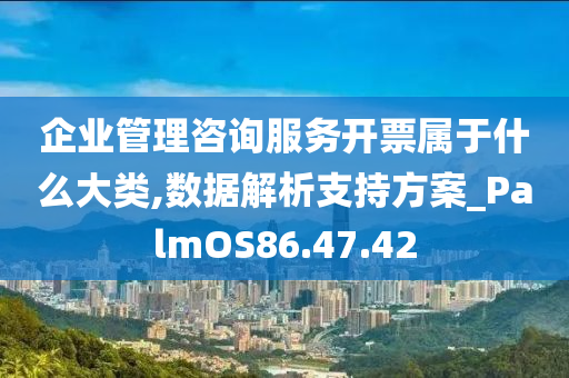 企业管理咨询服务开票属于什么大类,数据解析支持方案_PalmOS86.47.42