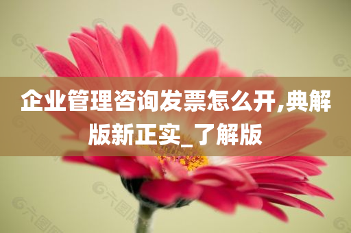 企业管理咨询发票怎么开,典解版新正实_了解版