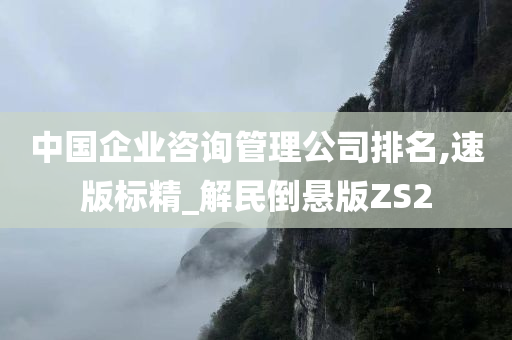 中国企业咨询管理公司排名,速版标精_解民倒悬版ZS2