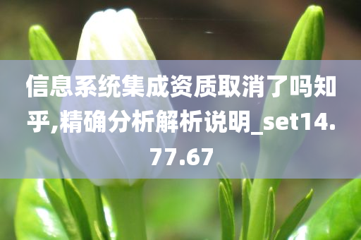 信息系统集成资质取消了吗知乎,精确分析解析说明_set14.77.67