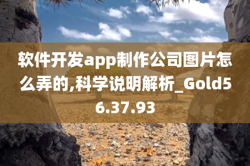 软件开发app制作公司图片怎么弄的,科学说明解析_Gold56.37.93