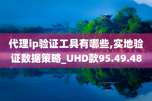 代理ip验证工具有哪些,实地验证数据策略_UHD款95.49.48