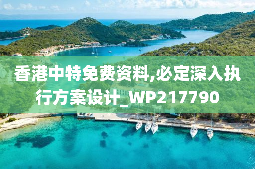 香港中特免费资料,必定深入执行方案设计_WP217790