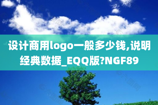 设计商用logo一般多少钱,说明经典数据_EQQ版?NGF89