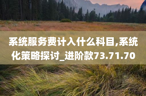 系统服务费计入什么科目,系统化策略探讨_进阶款73.71.70