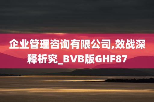 企业管理咨询有限公司,效战深释析究_BVB版GHF87