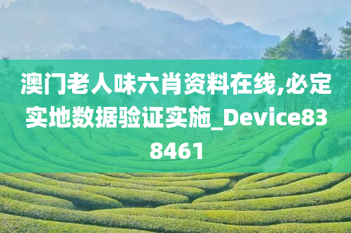 澳门老人味六肖资料在线,必定实地数据验证实施_Device838461