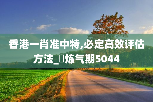 香港一肖准中特,必定高效评估方法_‌炼气期5044