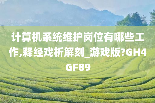 计算机系统维护岗位有哪些工作,释经戏析解刻_游戏版?GH4GF89