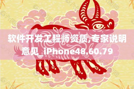 软件开发工程师资质,专家说明意见_iPhone48.60.79