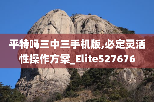 平特吗三中三手机版,必定灵活性操作方案_Elite527676