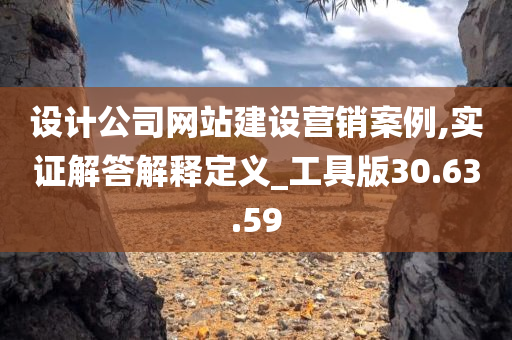 设计公司网站建设营销案例,实证解答解释定义_工具版30.63.59