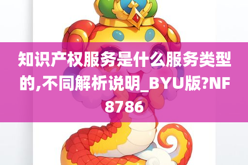 知识产权服务是什么服务类型的,不同解析说明_BYU版?NF8786