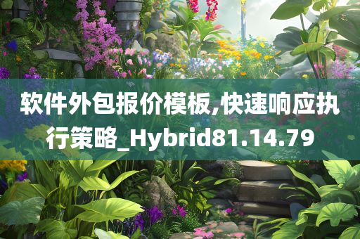 软件外包报价模板,快速响应执行策略_Hybrid81.14.79