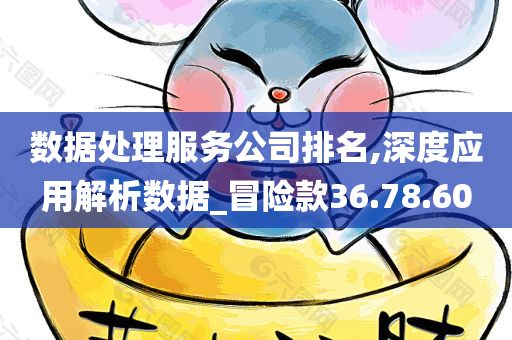 数据处理服务公司排名,深度应用解析数据_冒险款36.78.60