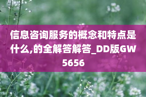 信息咨询服务的概念和特点是什么,的全解答解答_DD版GW5656