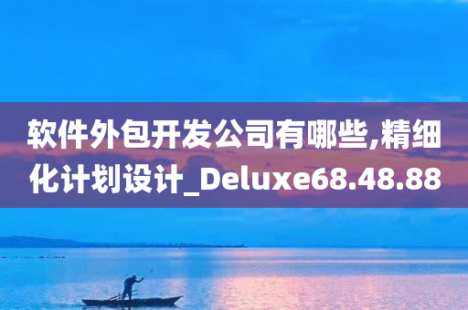 软件外包开发公司有哪些,精细化计划设计_Deluxe68.48.88