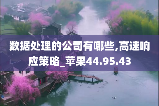 数据处理的公司有哪些,高速响应策略_苹果44.95.43