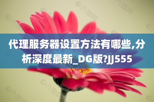 代理服务器设置方法有哪些,分析深度最新_DG版?JJ555