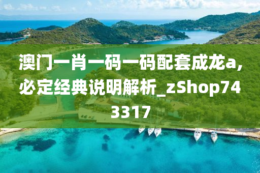 澳门一肖一码一码配套成龙a,必定经典说明解析_zShop743317