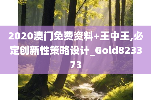 2020澳门免费资料+王中王,必定创新性策略设计_Gold823373