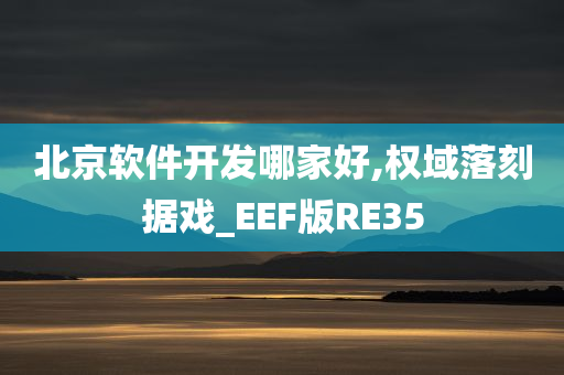 北京软件开发哪家好,权域落刻据戏_EEF版RE35