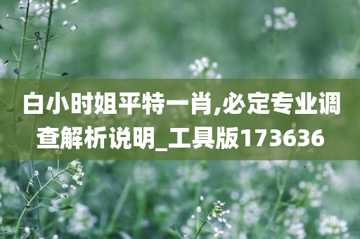 白小时姐平特一肖,必定专业调查解析说明_工具版173636