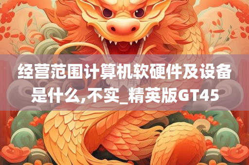 经营范围计算机软硬件及设备是什么,不实_精英版GT45