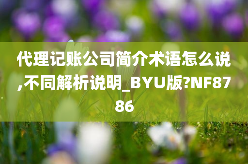 代理记账公司简介术语怎么说,不同解析说明_BYU版?NF8786