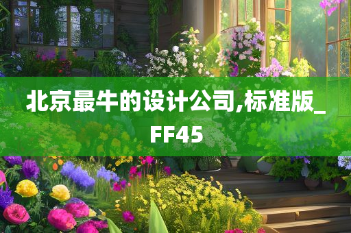 北京最牛的设计公司,标准版_FF45