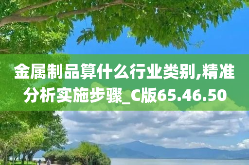 金属制品算什么行业类别,精准分析实施步骤_C版65.46.50