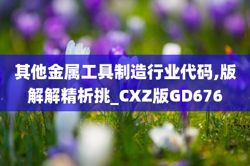 其他金属工具制造行业代码,版解解精析挑_CXZ版GD676