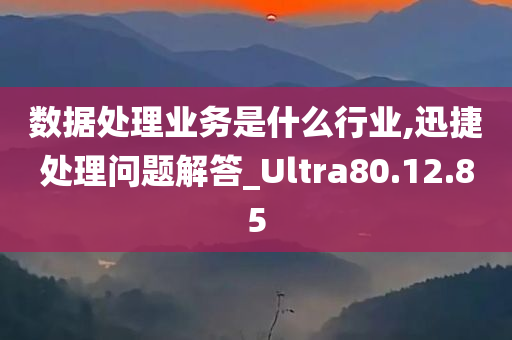 数据处理业务是什么行业,迅捷处理问题解答_Ultra80.12.85