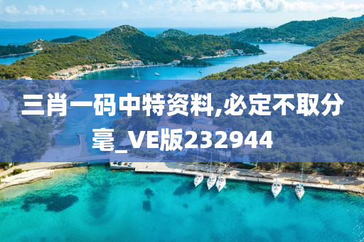 三肖一码中特资料,必定不取分毫_VE版232944