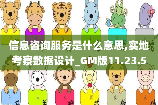 信息咨询服务是什么意思,实地考察数据设计_GM版11.23.50