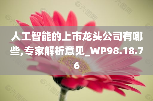 人工智能的上市龙头公司有哪些,专家解析意见_WP98.18.76